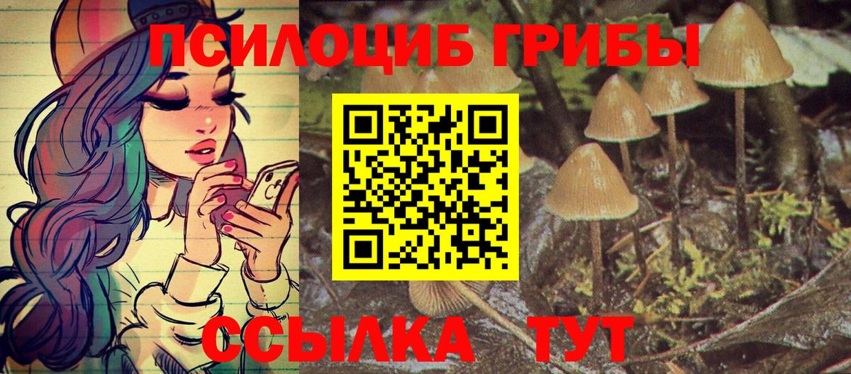 Псилоцибиновые грибы MAGIC MUSHROOMS Саянск