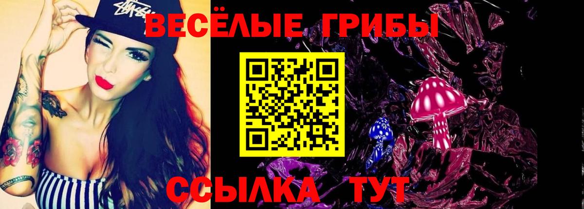 цена наркотик  Псилоцибиновые грибы MAGIC MUSHROOMS  Вход с VPN  Саянск 
